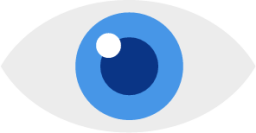 eye vision icon