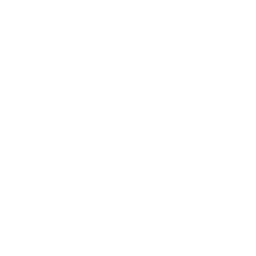 Faircoin Cryptocurrency icon