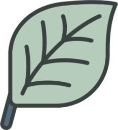 leaf icon