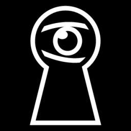 lock spy icon