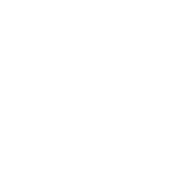 Nucleus Vision Cryptocurrency icon