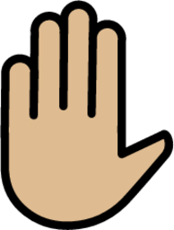 raised hand: medium-light skin tone emoji