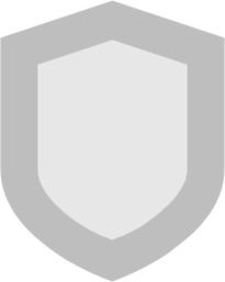 security medium icon