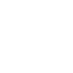 SINOVATE Cryptocurrency icon