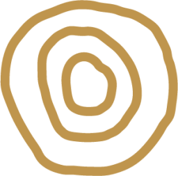 spiral icon