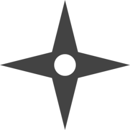 star cross icon