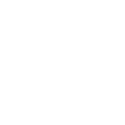 telegram icon