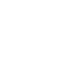 tumblr icon