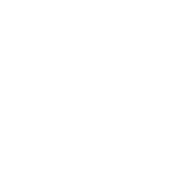 wordpress icon