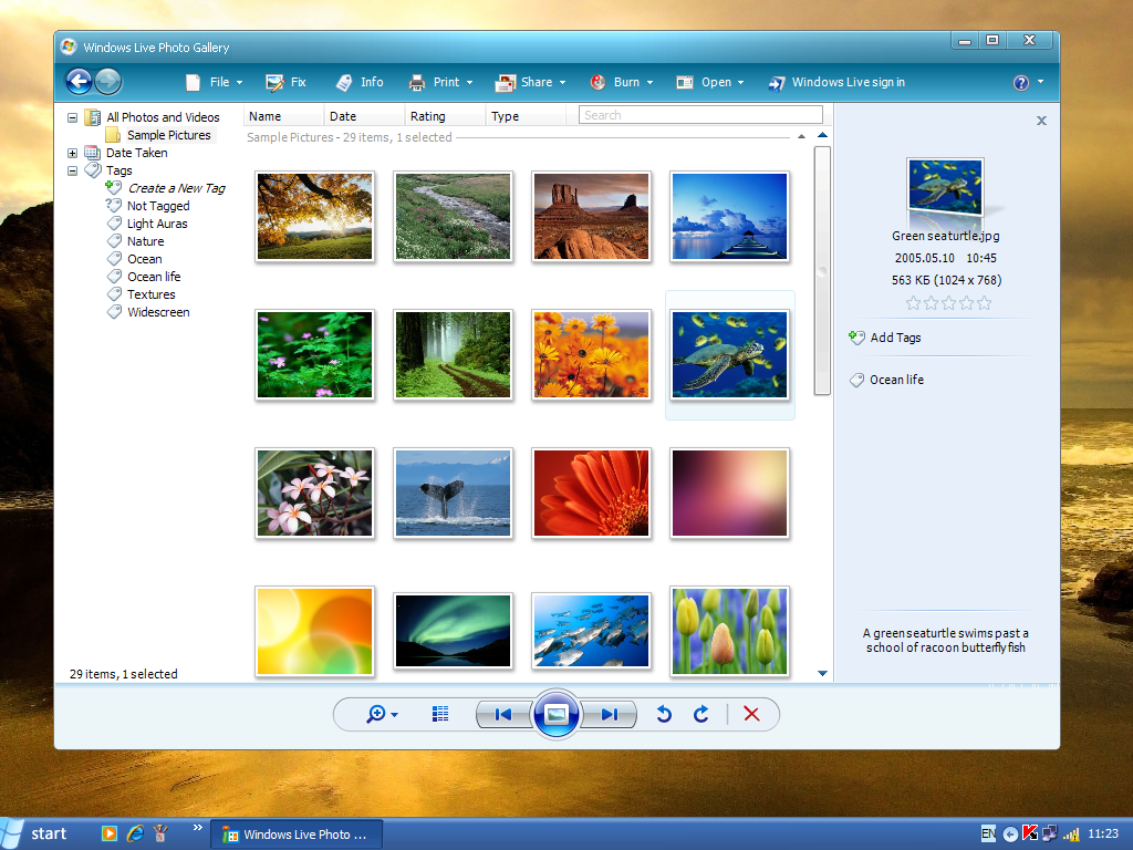 Windows 10 Live Photo Gallery Free Download ~ Windows 7 Live Photo ...