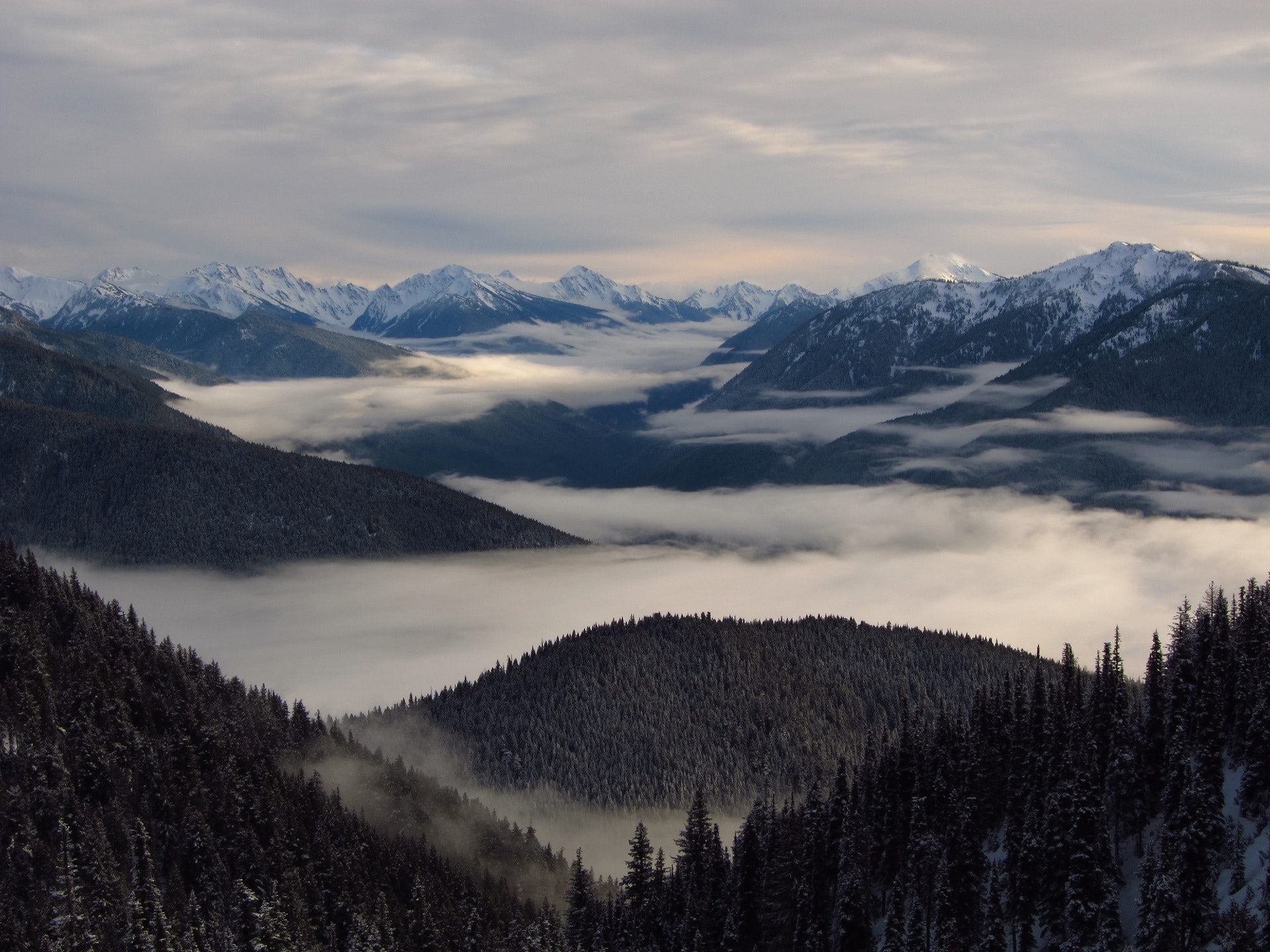 Aerial photography of foggy mountains