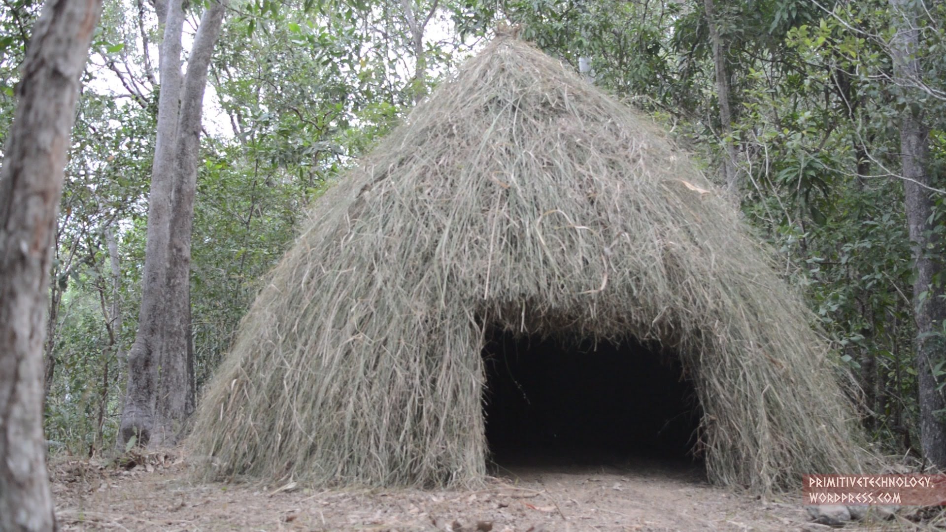 Primitive Technology: Grass hut - YouTube