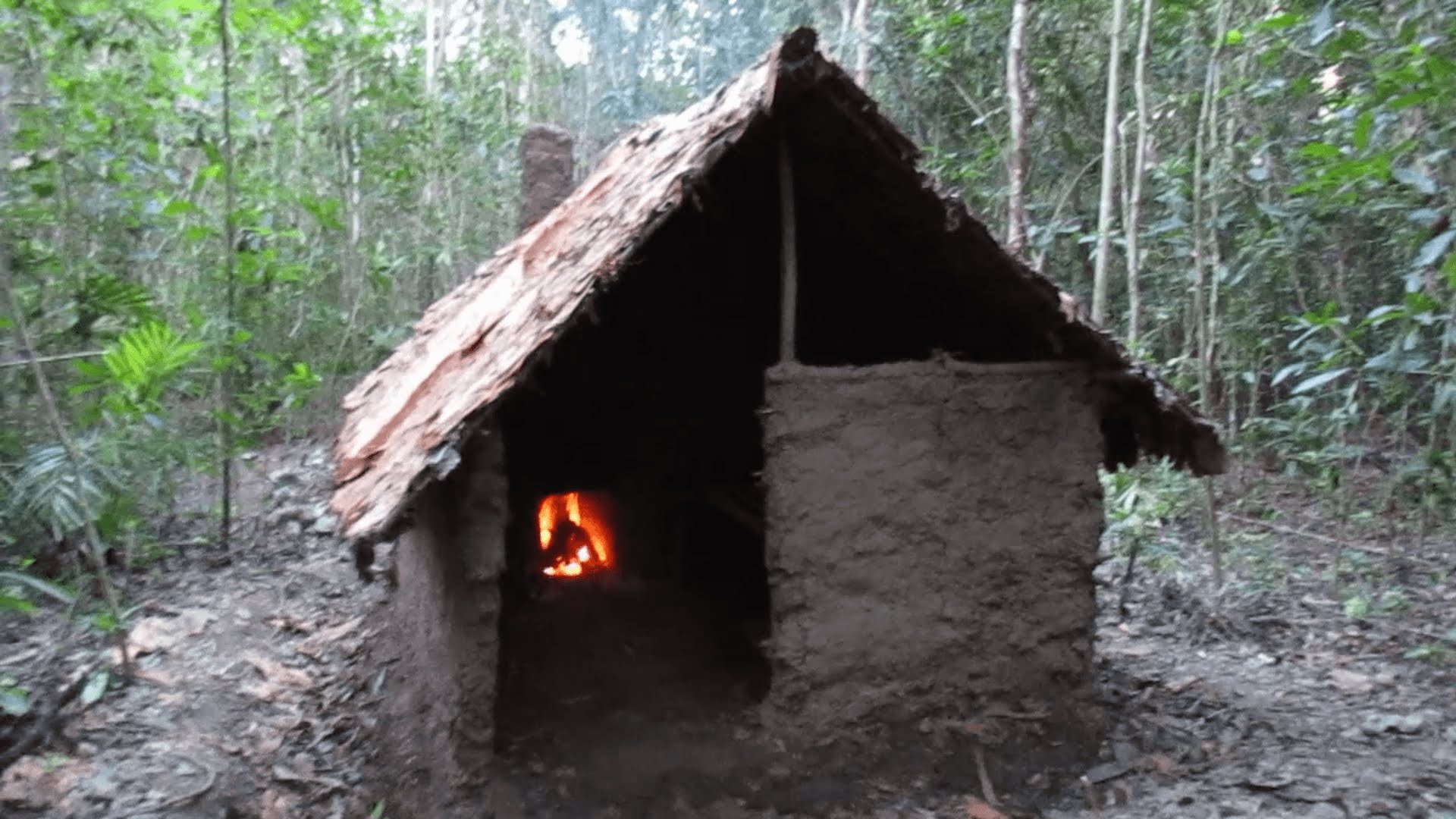 Primitive Technology: Wattle and Daub Hut - YouTube