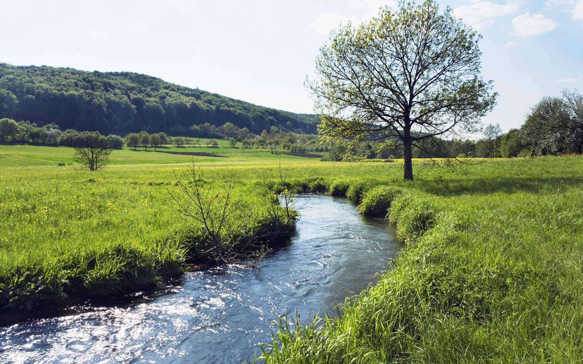 Rivers: Germany River Meadow Bavaria Running Bayern Fields Desktop ...