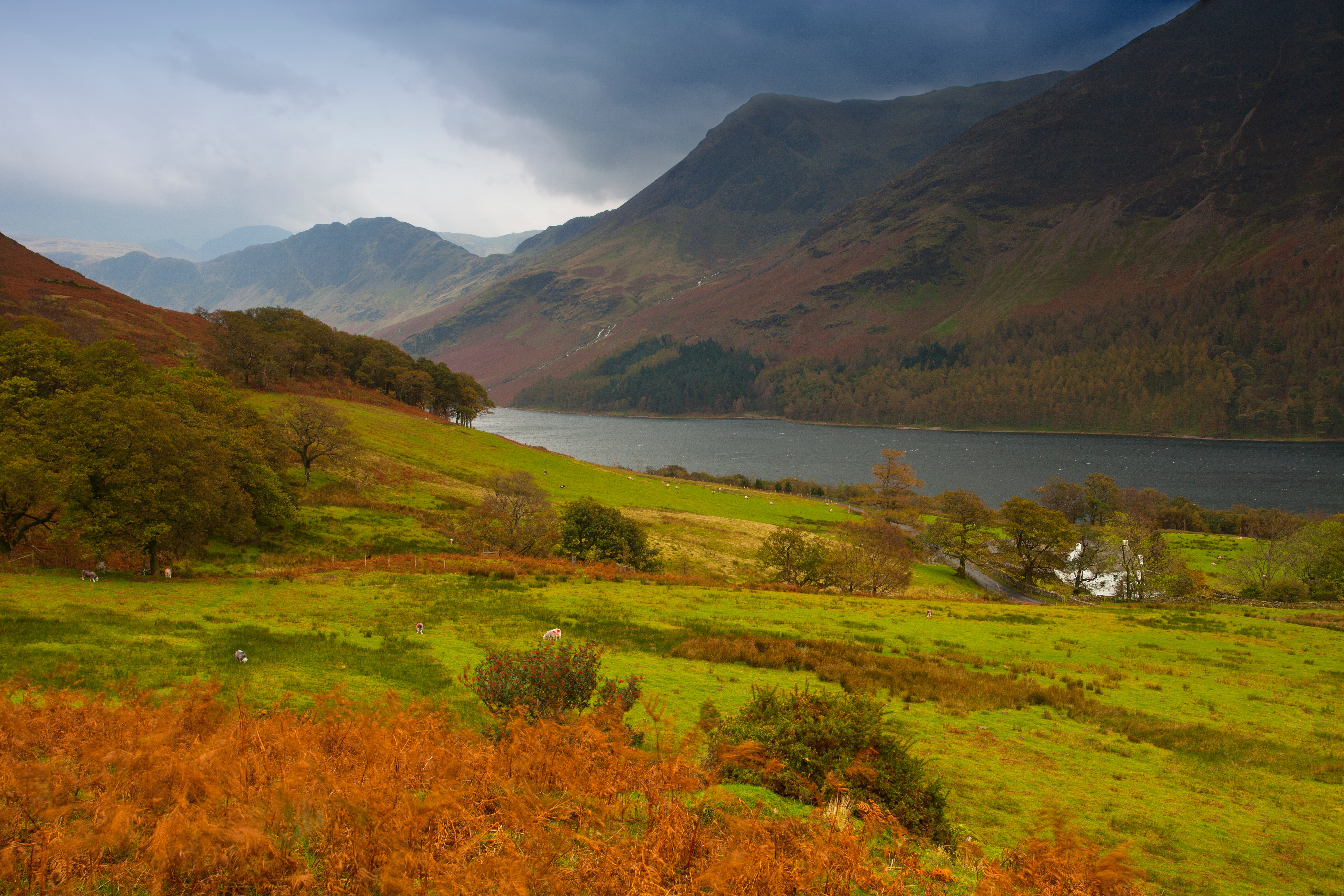 Meadow by river photo