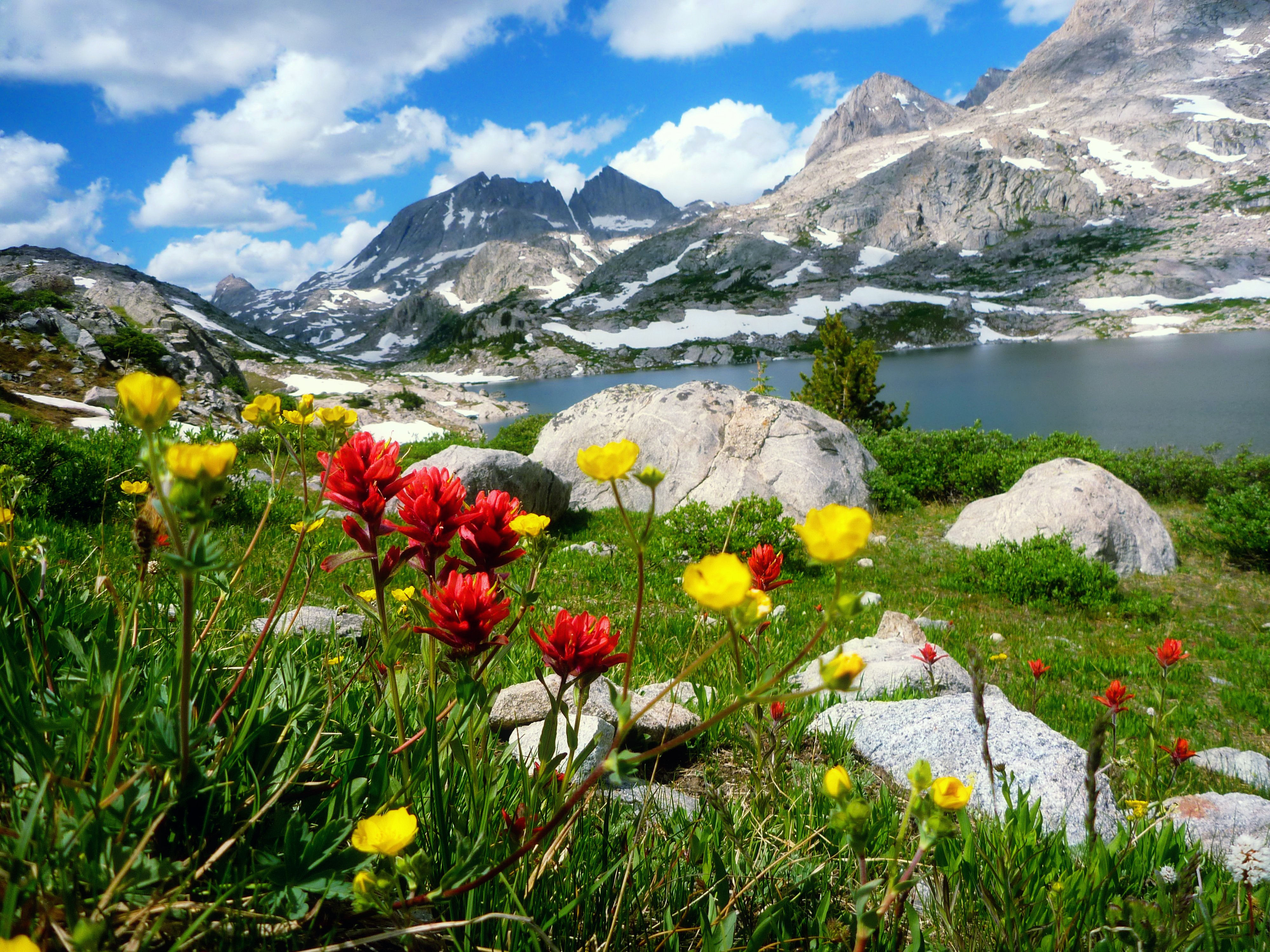 Mountains: Spring Mountain Flowers Lake Sky Wildflowers Peak ...