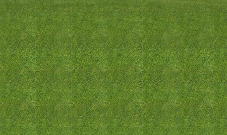 Grass Texture