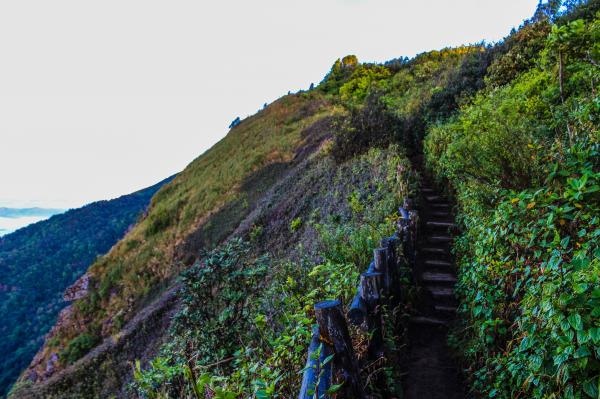 Pathway on Mountain With Blue Wooden Handrails at Daytime