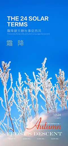 霜降节气海报-志设网-zs9.com