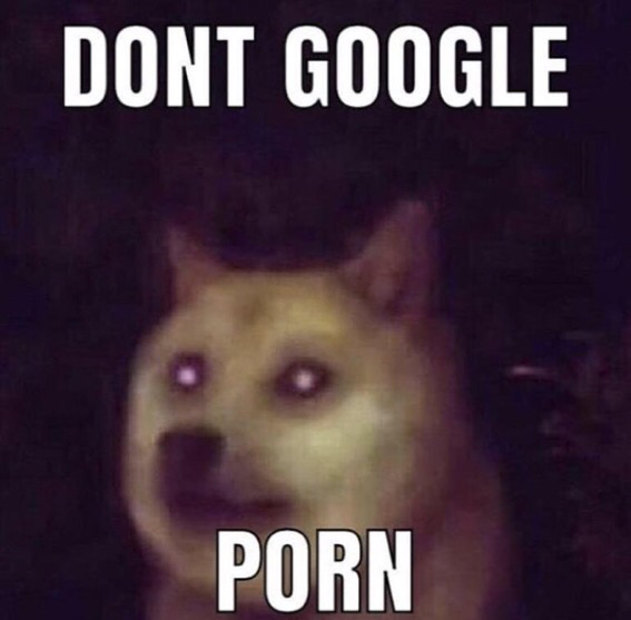 DONT GOOGLE P---