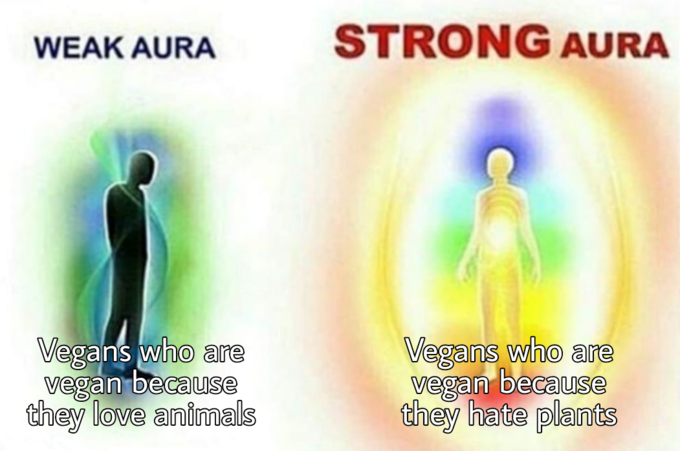 WEAK AURA STRONG AURA Vegans who are vegan because they love animals Vegans who are vegan because they hate plants