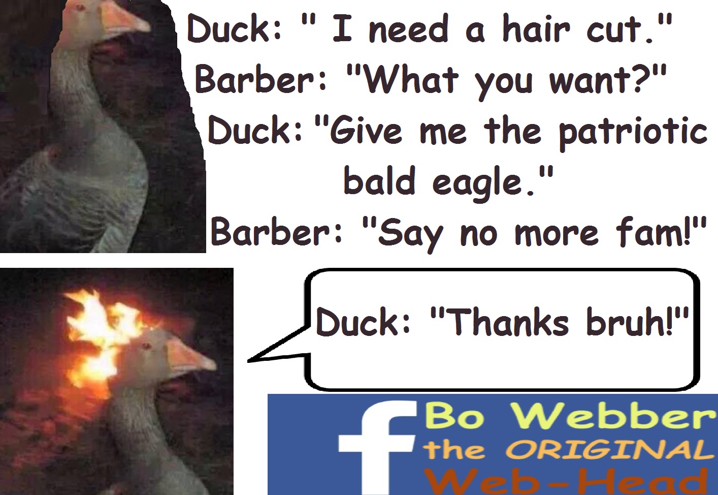 Goose Needs A Haircut Goose On Fire Fire Duck Know Your Meme