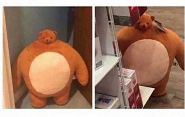 Fat Teddy Bear Blank Meme Template