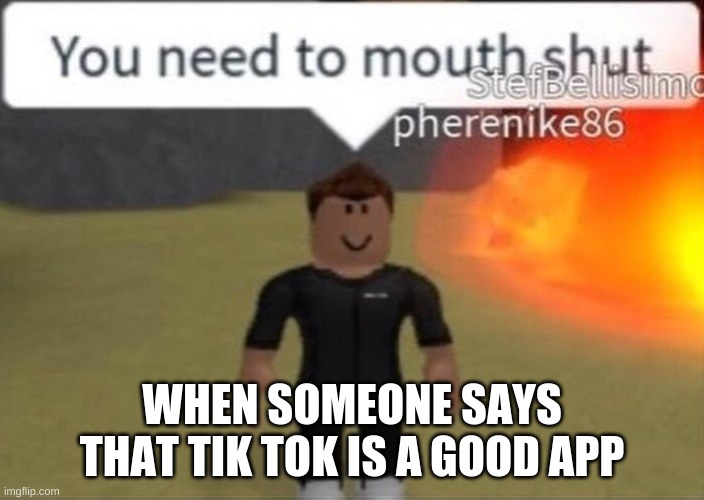 Tik Tok Roblox Meme