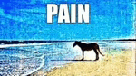 a horse is standing on a beach next to the ocean with the word pain written above it .