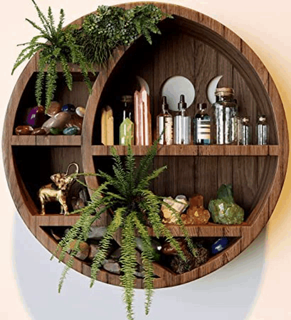 a wooden shelf with a plant and crystals on it