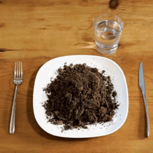 a plate of dirt sits on a wooden table next to a glass of water and a fork and knife