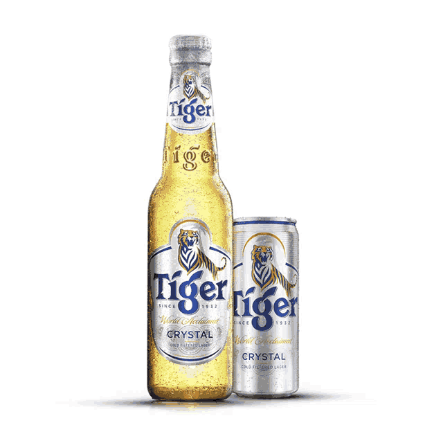 a bottle of tiger beer next to a can of tiger beer