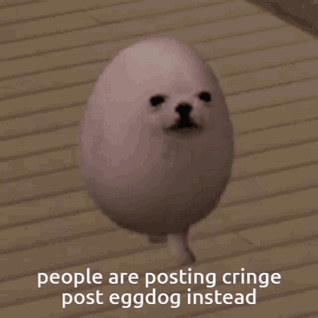 a picture of an egg with a dog face and a caption that reads people are posting cringe post eggdog instead