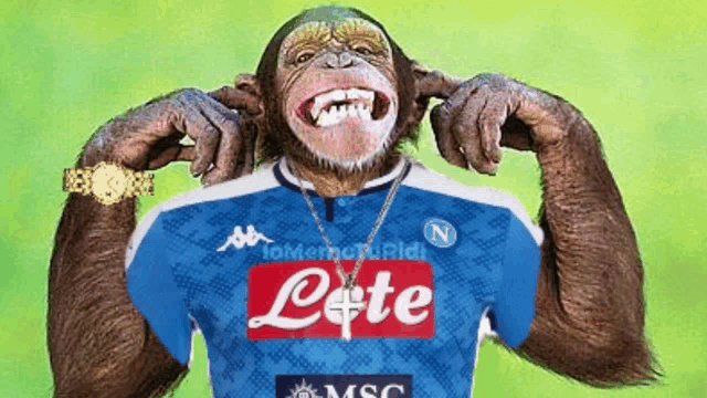 a chimpanzee wearing a blue jersey with the word leite on it