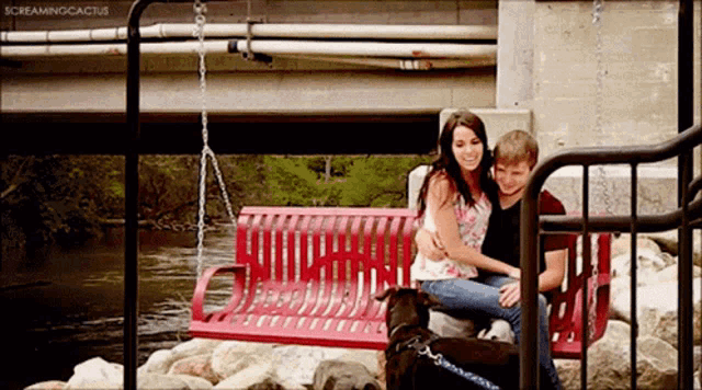 a man and woman are sitting on a red swing next to a dog and the words screamingcactus are visible