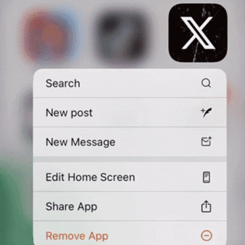 an app called x is being displayed on the screen