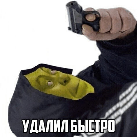 a person is holding a gun with shrek coming out of their jacket .