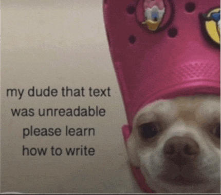 a dog wearing a pink croc hat with the words " my dude that text was unreadable please learn how to write " on it