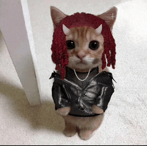 a cat with dreadlocks and a leather jacket