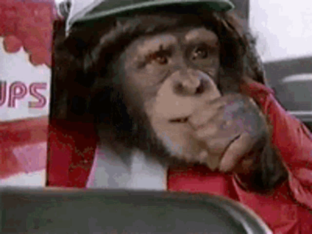 a chimpanzee wearing a green hat and a red jacket is sitting in front of a box that says ups