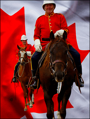 a man in a red uniform is riding a brown horse