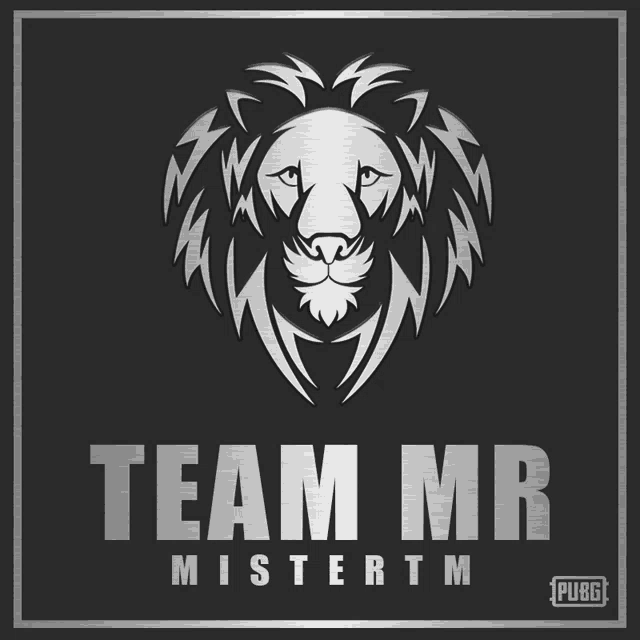 team mr mistertm logo with a lion on it