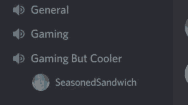 a screenshot of a discord channel with the words general gaming seasonedsandwich and gaming but cooler