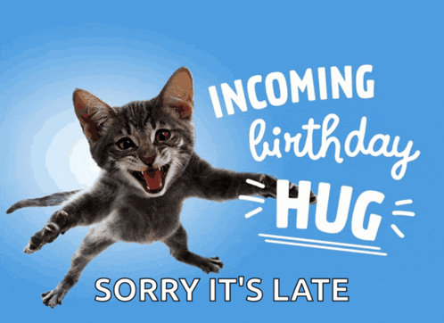 a kitten is jumping in the air with the words incoming birthday hug sorry it 's late