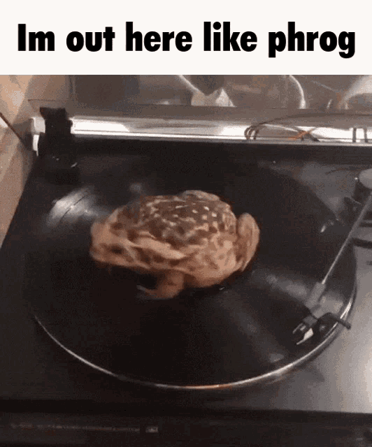 a picture of a frog on a record that says i 'm out here like phrog on the bottom