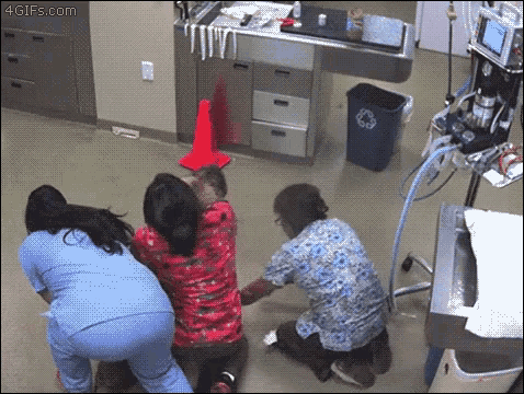 a group of nurses are kneeling on the floor in a hospital room with a recycling bin in the background