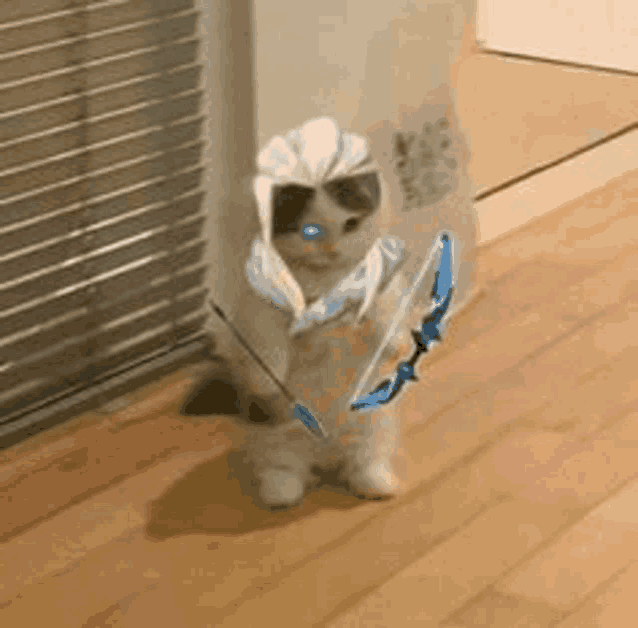 a cat is wearing a bow and arrow costume .