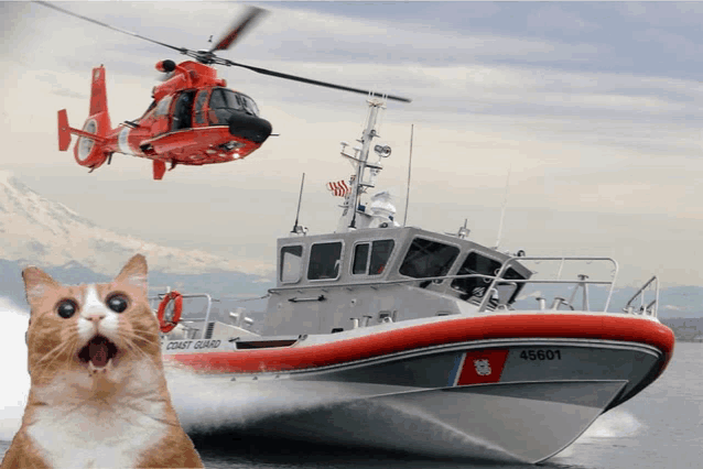 a cat stands in front of a boat that says coast guard