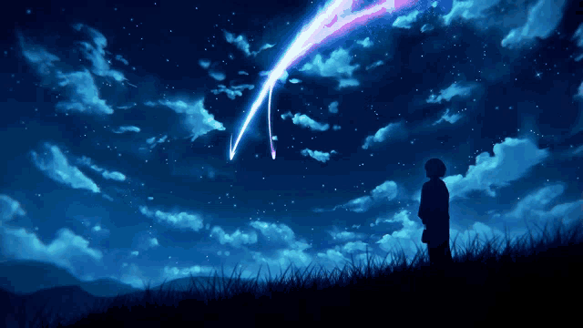 a person stands in a field watching a star shine in the night sky