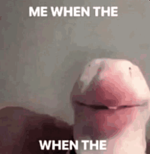 a close up of a penis with a caption that says `` me when the when the '' .